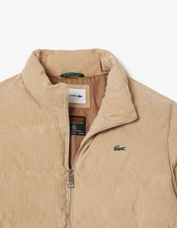 Plumas Lacoste de Pana Acolchada Beige Hombre