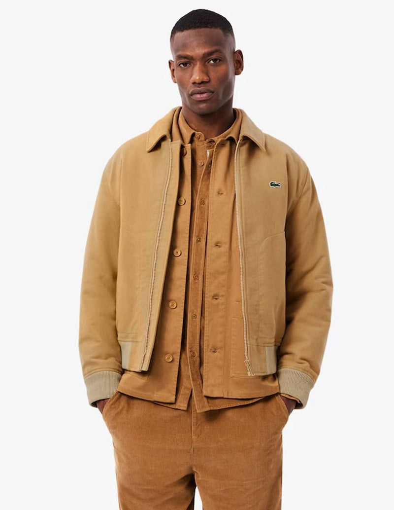 Chaqueta Lacoste de Moleskin Acolchada Beige Hombre