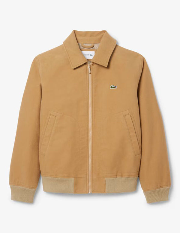 Chaqueta Lacoste de Moleskin Acolchada Beige Hombre