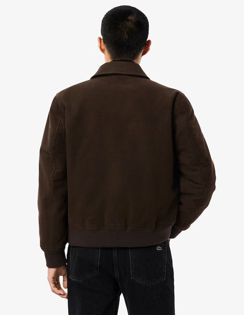 Chaqueta Lacoste de Moleskin Acolchada Marrón Hombre
