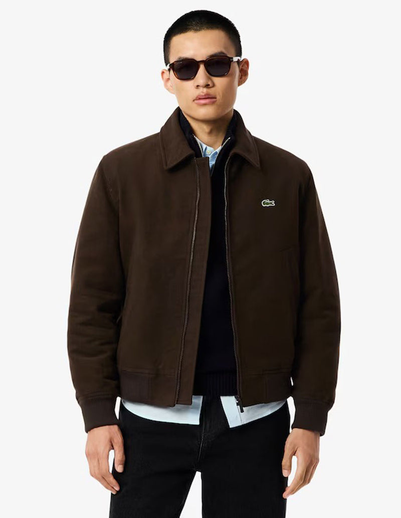 Chaqueta Lacoste de Moleskin Acolchada Marrón Hombre