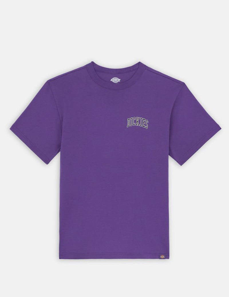 Camiseta Dickies Aitkin Morada Hombre