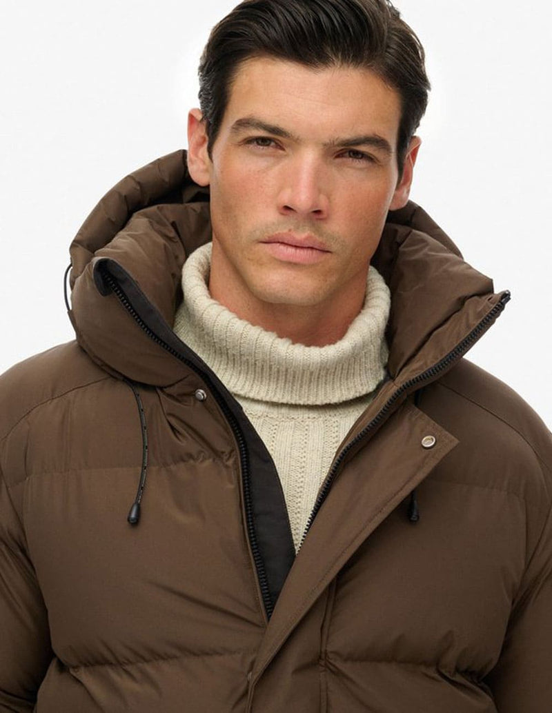 Plumas Superdry con Capucha Marrón Hombre