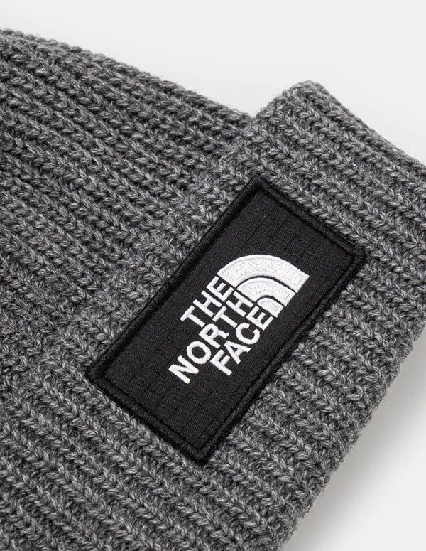 Gorro The North Face x 30th Years HMLYN Gris Unisex