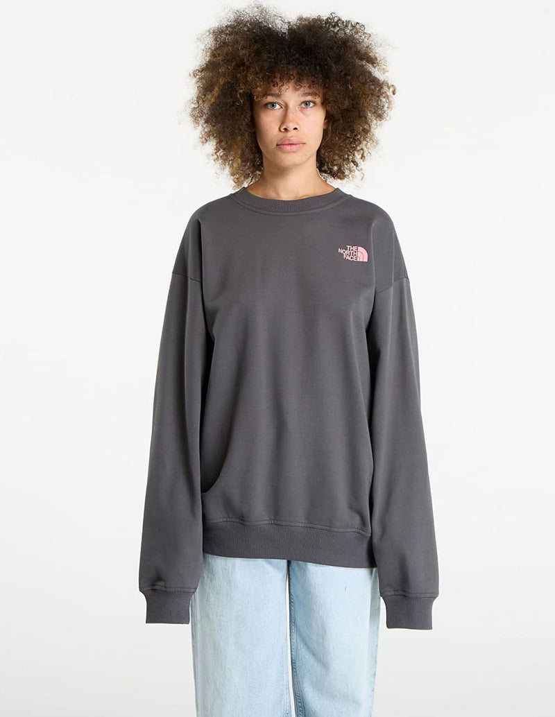 Sudadera The North Face U Expedition Celebration Oversized Gris Unisex