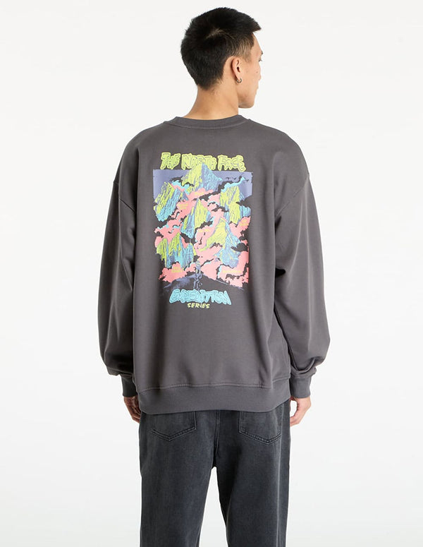 Sudadera The North Face U Expedition Celebration Oversized Gris Unisex