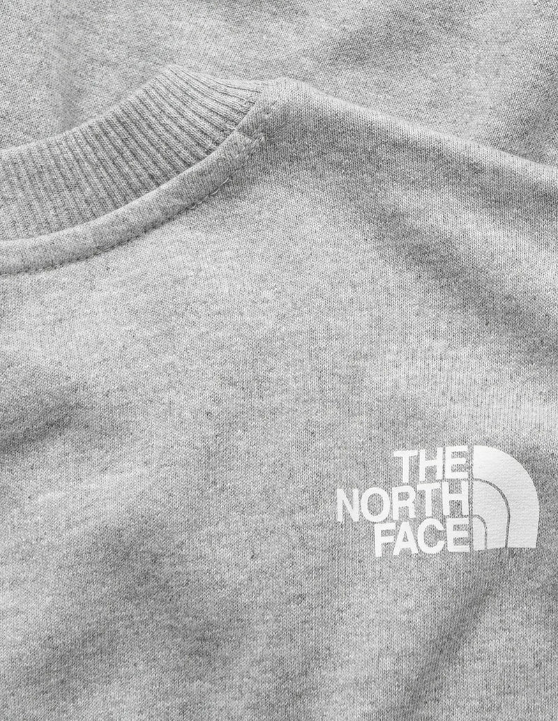 Sudadera The North Face Standard Gris Hombre